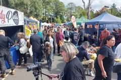 More-of-the-stalls