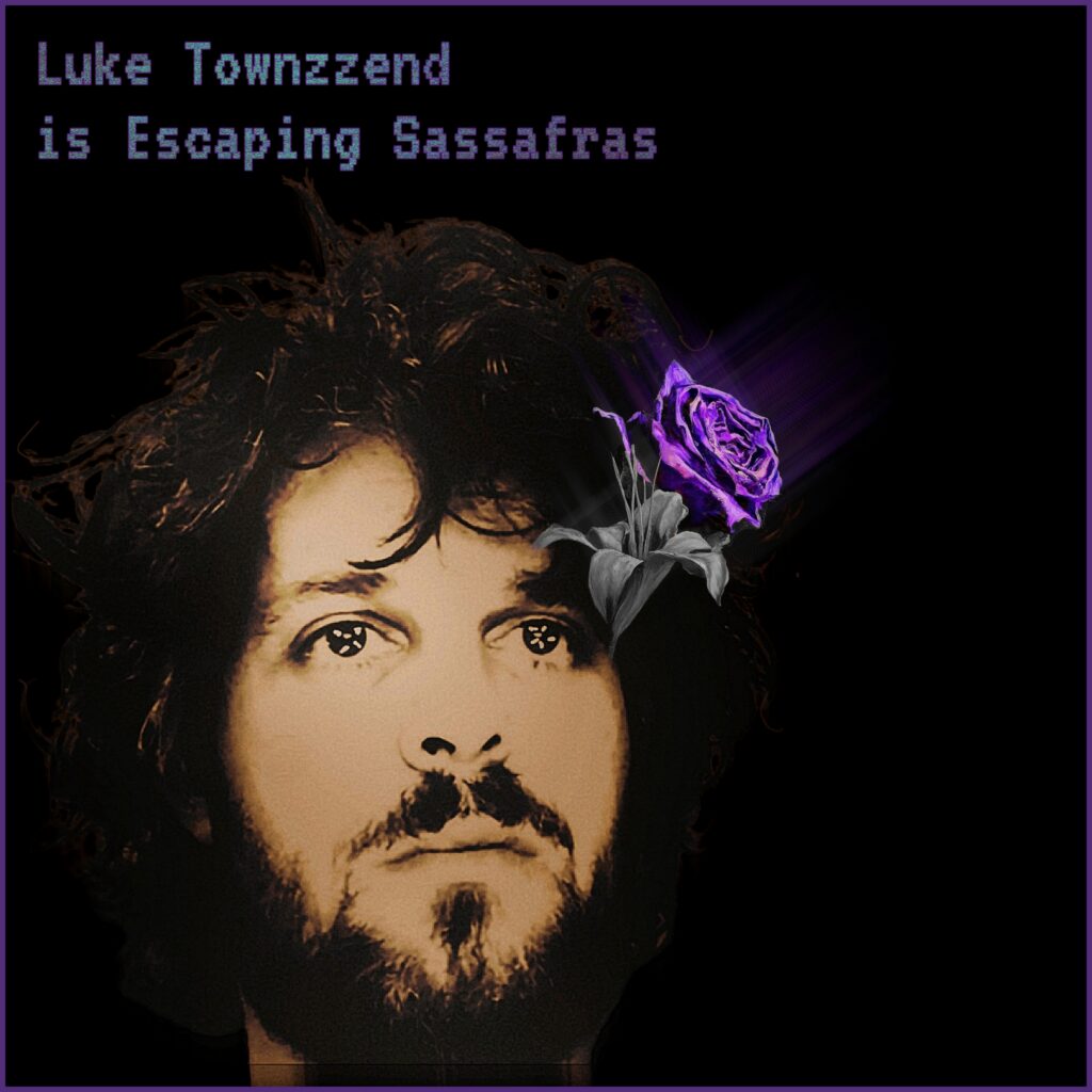 Luke Townzzend